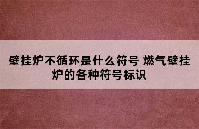 壁挂炉不循环是什么符号 燃气壁挂炉的各种符号标识